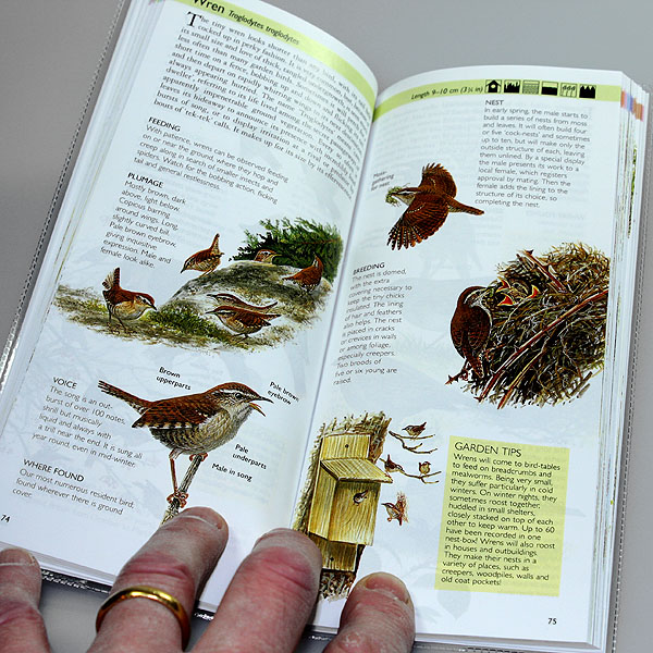 The Pocket Guide to Garden Birds by Couzens & Langman